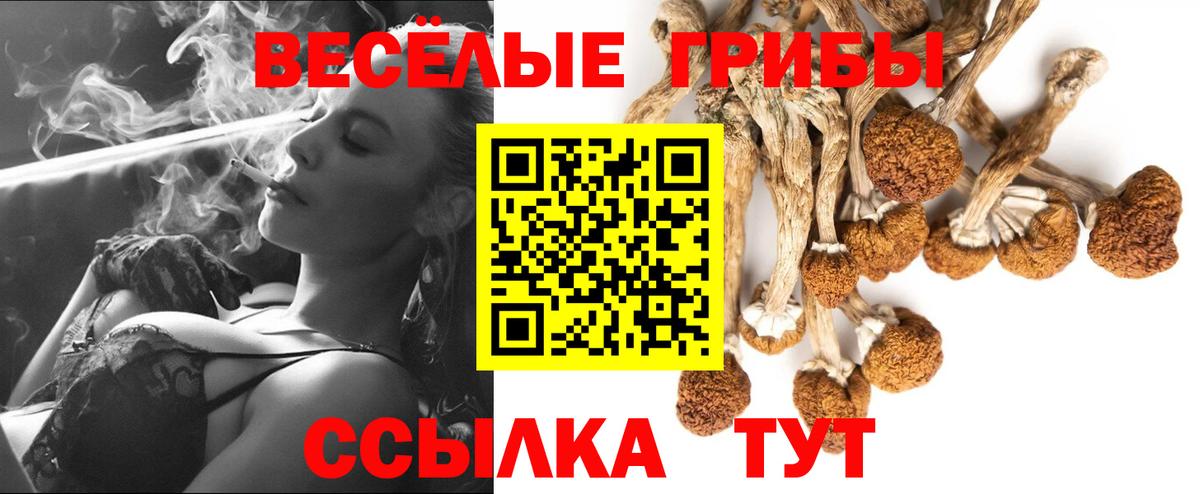 Галлюциногенные грибы ЛСД Курчалой