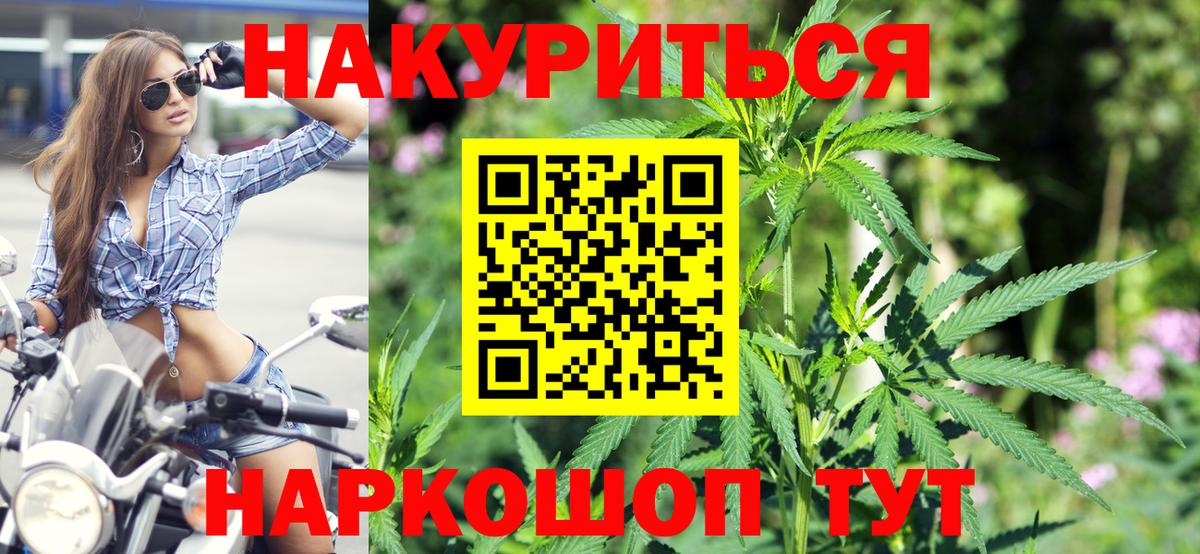 Канабис план Курчалой